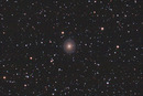 305:NGC7217 in the Constellation Pegusus – 2014/11/28